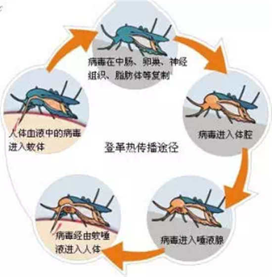 7aced73e45574e329f1bb2f440c7330d_6370459218596006035302486.png