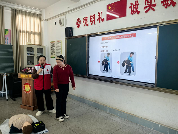 图片11.png