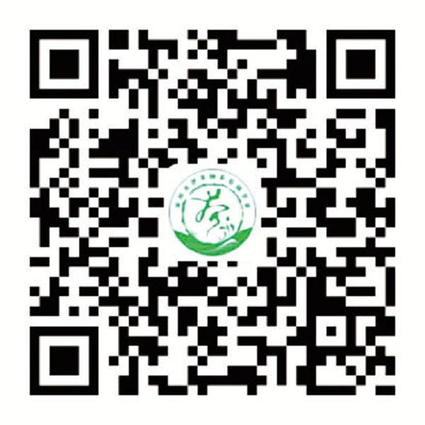 评茶师3.png