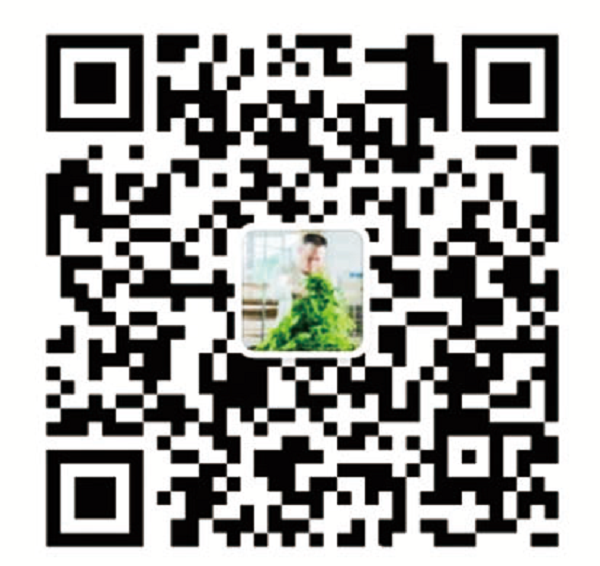 惠丰茶叶3.png